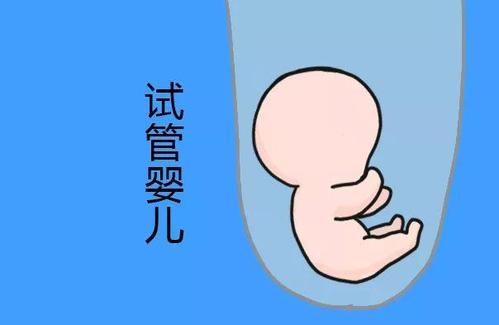 私人孕妈借卵代孕咨询微信号